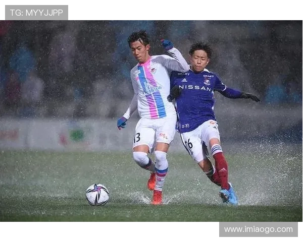 北京排球队中路突破革新探索新战术提升整体实力与竞技水平 北京排球队中路突破革新探索新战术提升整体实力与竞技水平