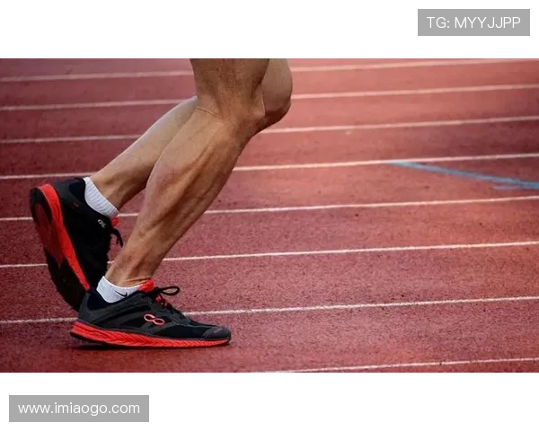 刘静独家分享篮球心得与技巧提升之路助你成为场上明星 刘静独家分享篮球心得与技巧提升之路助你成为场上明星