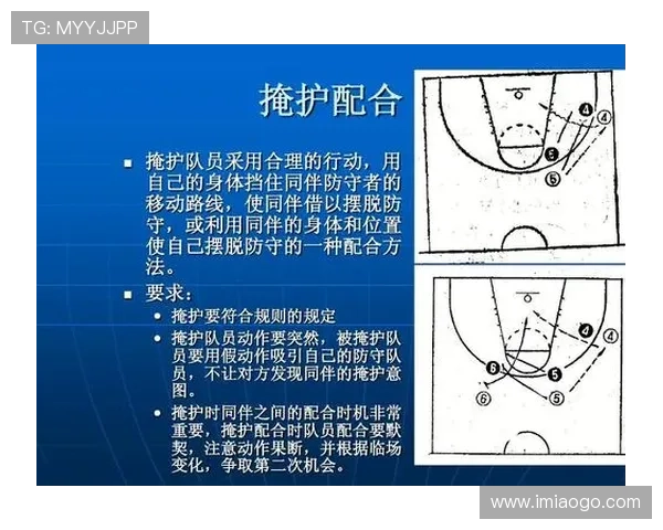 北京篮球队控制体系下的战术解析与实战应用探讨
