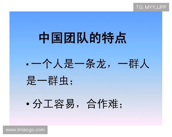 北京排球队的节奏解析：从战术到团队协作的深度剖析与展望
