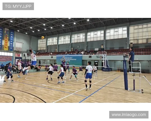 北京排球队在排球节奏排行榜中荣获第九名展现出强大实力与潜力