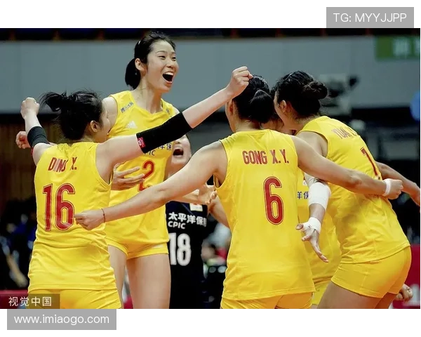 北京排球队在世界杯上的强势表现与团队精神解析