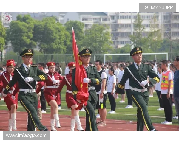 成都篮球队在钻石联赛中的拼搏历程与荣耀时刻全景回顾