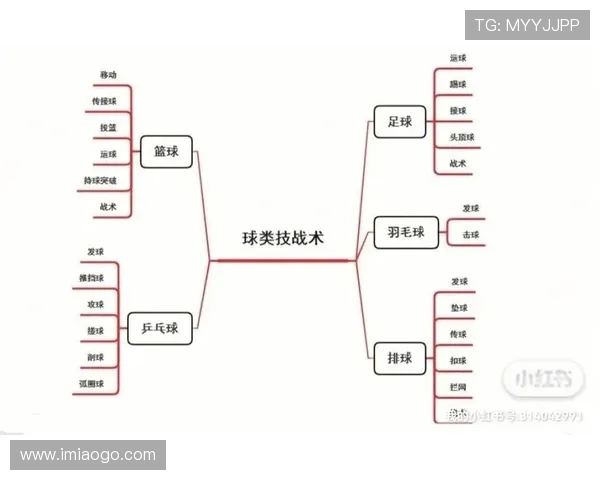 深圳篮球队快攻战术解析与战绩影响深度剖析