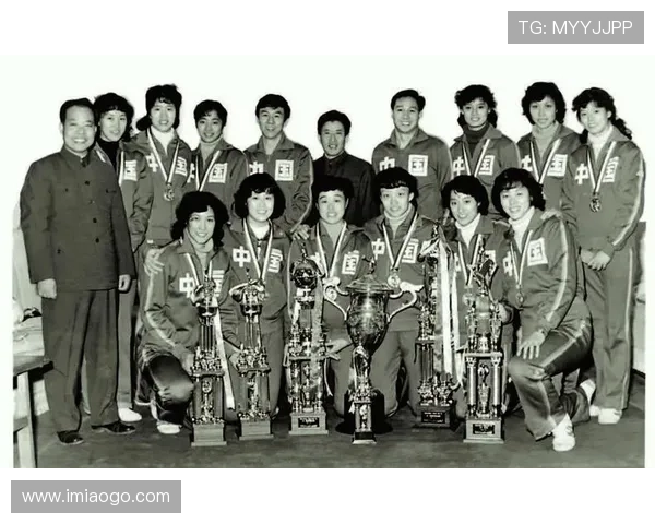 北京排球队选拔赛背后的拼搏故事与奋斗历程揭秘