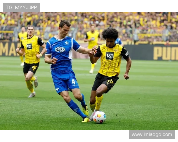 多特黄头发足球明星的魅力与成就探讨