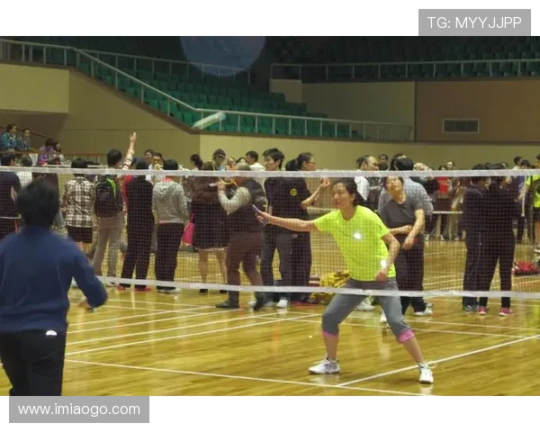 西安羽毛球队在挑战赛中的经验与表现深度分析与点评