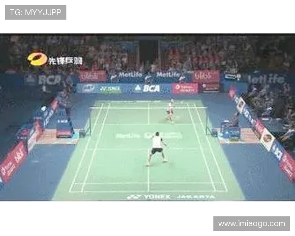 世界锦标赛点评:北京羽毛球队的战术表现 世界锦标赛点评:北京羽毛球队的战术表现