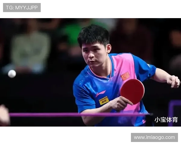 南京乒乓球队转型升级之路探索与未来展望